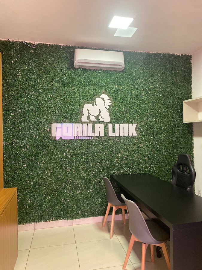 Gorila Link Internet Banda Larga em Itaberaí - GO — foto 3 de 3